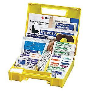 American Red Cross First Aid Kit,  Plastic Case Material, Vehicle, 10 People Served
