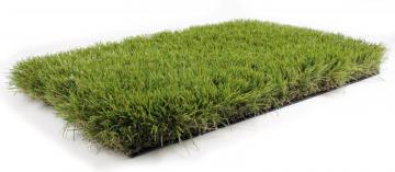 Royal Grass XL Artificial Grass