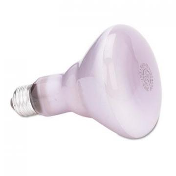 GE 48692 Incandescent Reflector Light Bulb