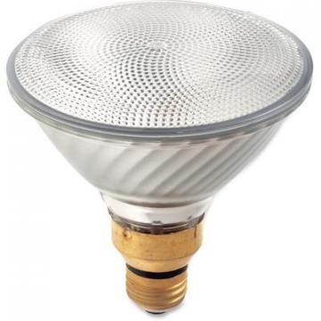 Satco S2248 60-watt PAR38 Halogen Bulb