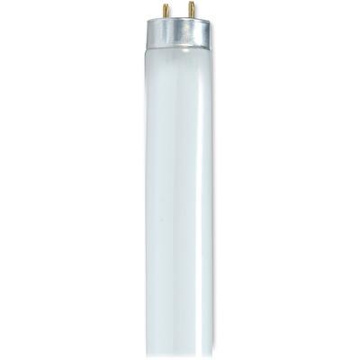 Satco S8440 25-watt 48" T8 Fluorescent Bulb