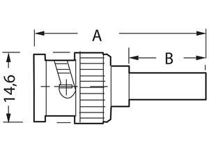Telegärtner Coaxial plug, BNC, 75 Ω, Straight