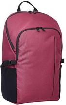 Amazon Basics Campus Backpack for Laptops up to 15-Inches - Maroon