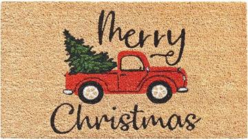 Calloway Mills AZ106331729 Christmas Fun Doormat, 17" x 29", Multicolor