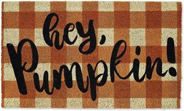 DII Natural Coir Doormat, Fall & Thanksgiving Seasonal Mat, Hey Pumpkin, 18x30