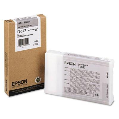 Epson T602700 (60) UltraChrome K3 Ink, Light Black
