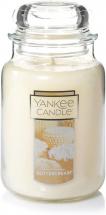 Yankee Candle Buttercream Scented Cream|Premium Paraffin Grade Candle Wax