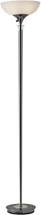 Adesso Home 5120-01 Transitional Two Light Floor Lamp from Metropolis Collection Finish