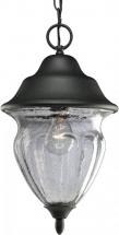 Progress Lighting P5523-31 One-Light Hanging Lantern with Clear Seeded Handblown Glass Urn, Black