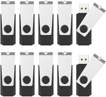 RAOYI 10 Pack 2GB USB Flash Drive, USB 2.0 Swivel Metal Bulk Pen Drive for Data Storage (Black)