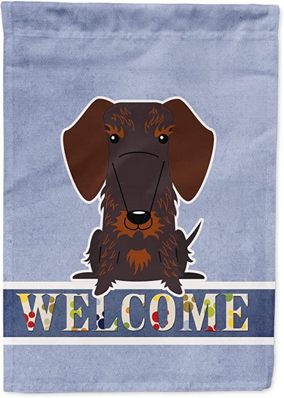 Caroline's Treasures Wire Haired Dachshund Chocolate Welcome Flag Garden Size, multicolor
