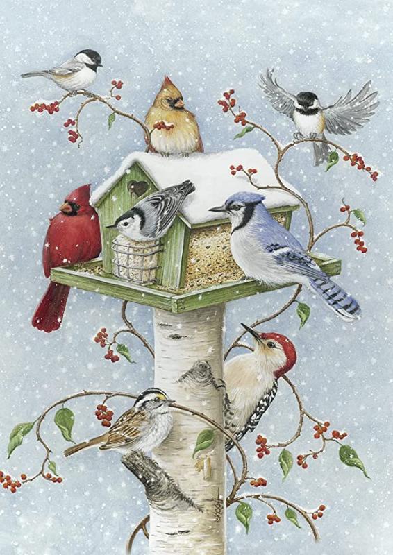 Toland Home Garden Winter Birds 28 x 40 Inch Decorative Snow Bird Cardinal Jay Birdhouse House Flag