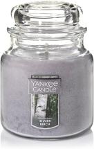 Yankee Candle Medium Jar Candle, Silver Birch