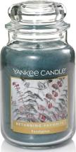 Yankee Candle Eucalyptus Scented Large Jar