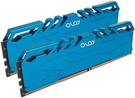 OLOy DDR4 RAM 16GB (2x8GB) Blue Owl 3000 MHz CL16 Desktop Gaming UDIMM (MD4U0830160BHBDA)