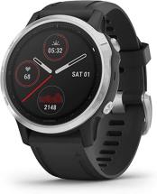 Garmin fenix 6S, Premium Multisport GPS Watch, Smaller-Sized, Silver with Black Band
