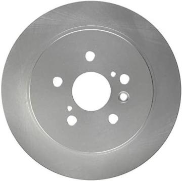 Raybestos 980631FZN Rust Prevention Technology Coated Rotor Brake Rotor
