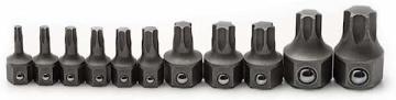 Apex GEARWRENCH 11 Pc. Torx Insert Bit Set for 6 & 12 Pt. Wrenches - 81560