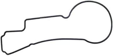 QFS HFP-TS55 Fuel Pump Tank Seal/Gasket Replacement