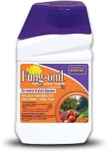 Bonide Fung-onil Multi-Purpose Fungicide, 16 oz Concentrate for Plant Disease Control