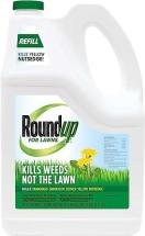 Roundup For Lawns1 Refill (Northern), 1.25 gal. - Lawn Safe Weed Killer For Northern Lawns